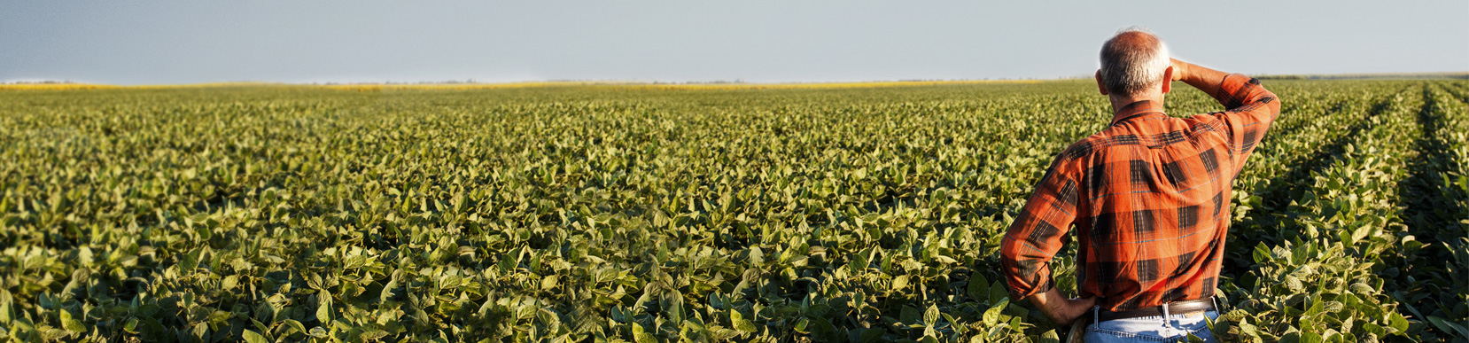 Klimatneutrala år 2030