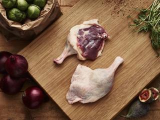 Anklår Hona Canette Barbarie