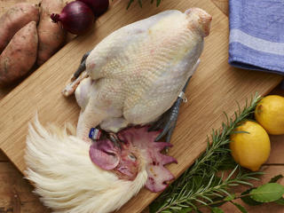 Kyckling Bresse med Huvud 120 dagar