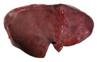 Ungnötslever Sverige