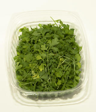 Rashad EKO KRAV Sverige