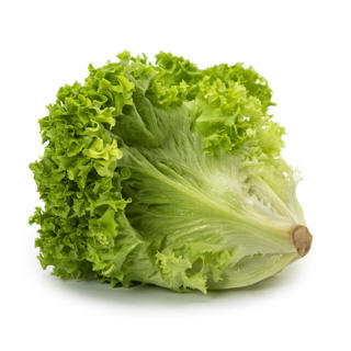 Sallat Lollo Biondo Klass 1 Sverige