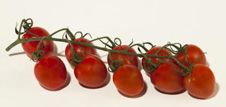 Körsbärstomat Romantic Klass 1