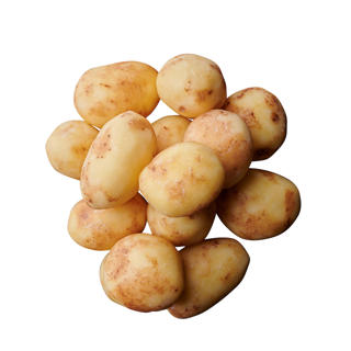 Potatis Lättskalad 39-54mm