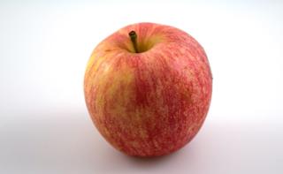 Äpple Royal Gala Klass 1 EKO