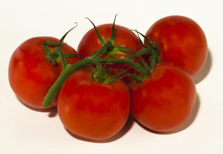 Kvisttomat Klass 1 EKO