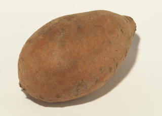 Sötpotatis Tvättad EKO