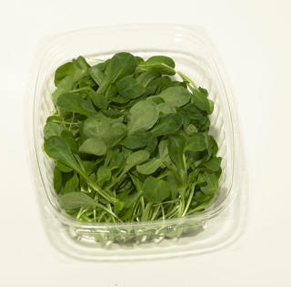 Machesallat i Ask Klass 1 EKO