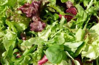 Babyleaf Mix Otvättad 1 kg