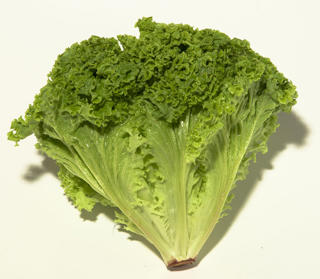 Sallat Lollo Biondo i Tråg Klass 1