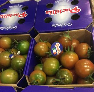 Tomat Camone Klass 1 Italien