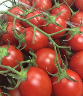 Tomat Piccadilly Klass 1 Italien