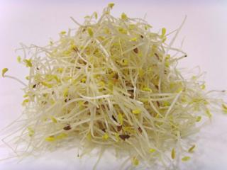 Alfagroddar EKO KRAV Sverige