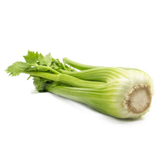 Stjälkselleri Sverige