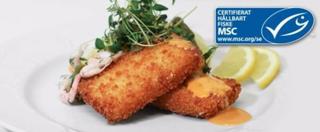 Torskfiskett med Ekologisk Panad 50g MSC