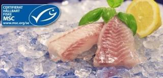 Sej Ryggfilé 120-140g MSC