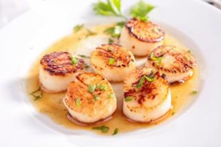 Hokkaidokammussla utan Rom MSC