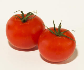Tomat Klass 1