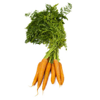 Morot i Knippe Klass 1