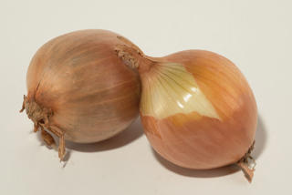 Gul Lök Medel Klass 1 Sverige