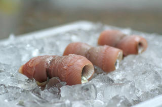 Sillfilé Rullad 40-80g MSC