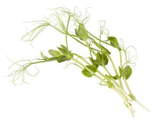 Ärtskott EKO KRAV Sverige