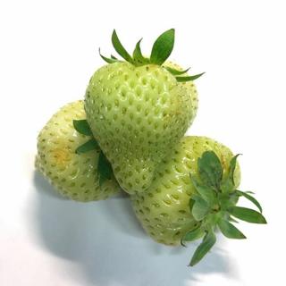 Jordgubbar Gröna Klass 1