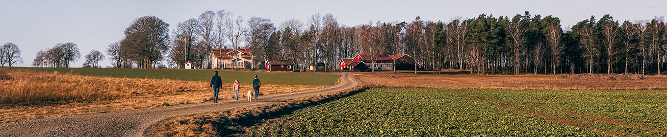 September: Kronfågel